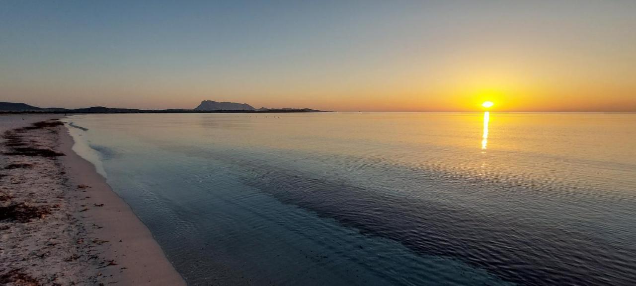Appartamento Brigida Bilocale 2 Posti Vicino Al Centro San Teodoro  Exterior foto